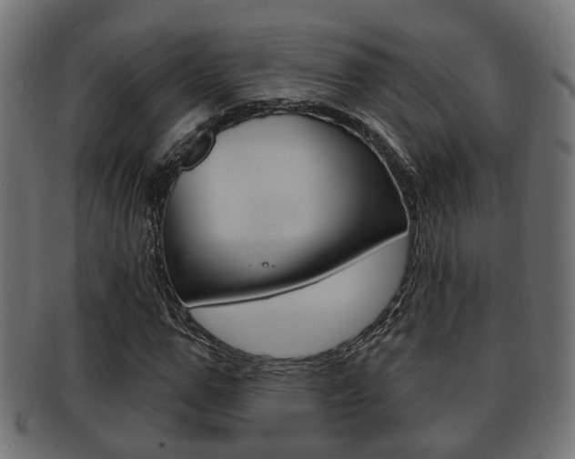 X0000091950967200709061036