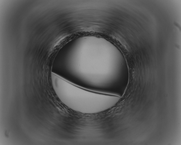 X0000091950968200709061036