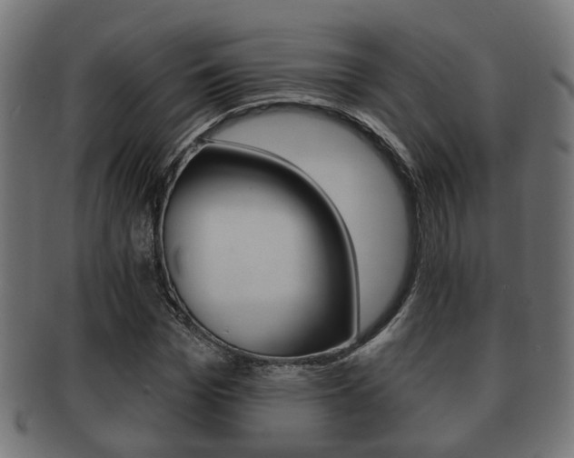 X0000091950969200709061036