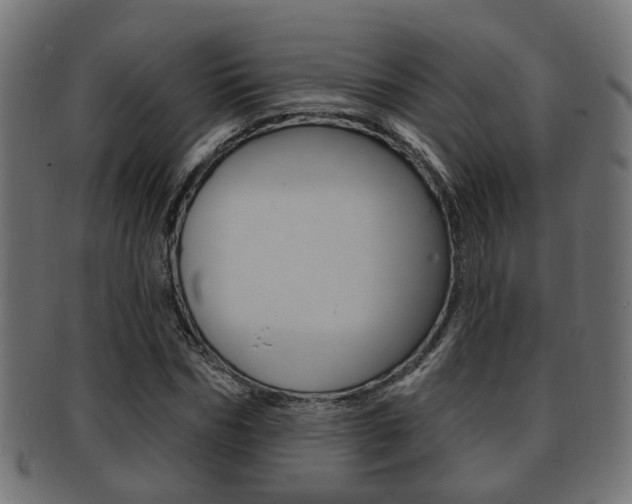 X0000091950970200709061036