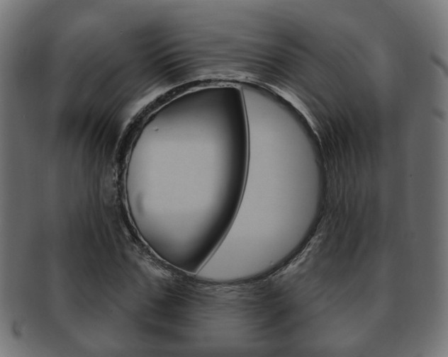 X0000091950971200709061036
