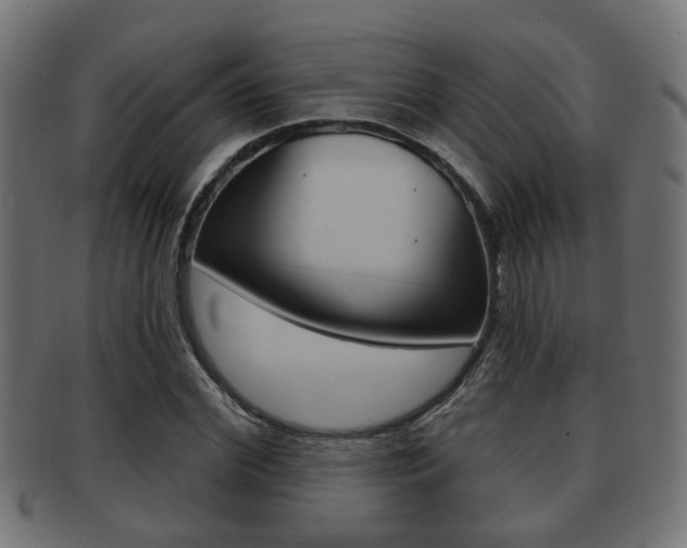 X0000091950972200709061036