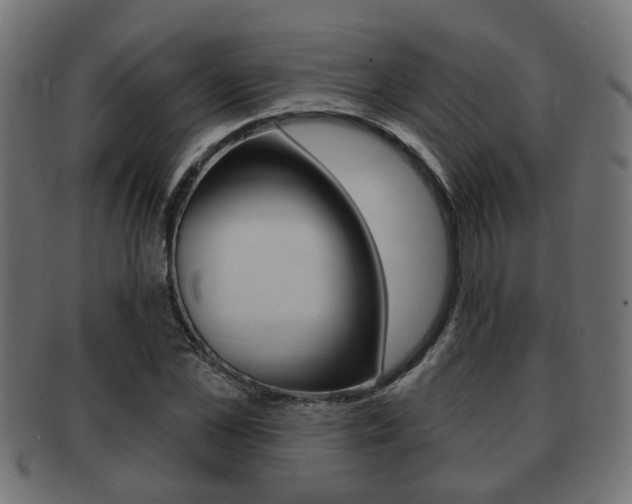 X0000091950973200709061036