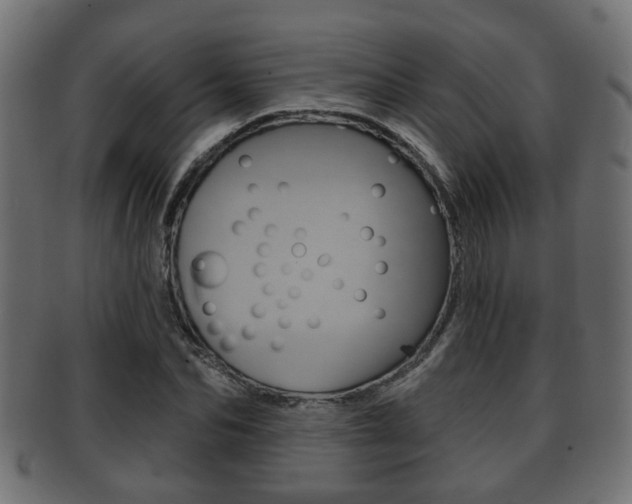 X0000091950974200709061036