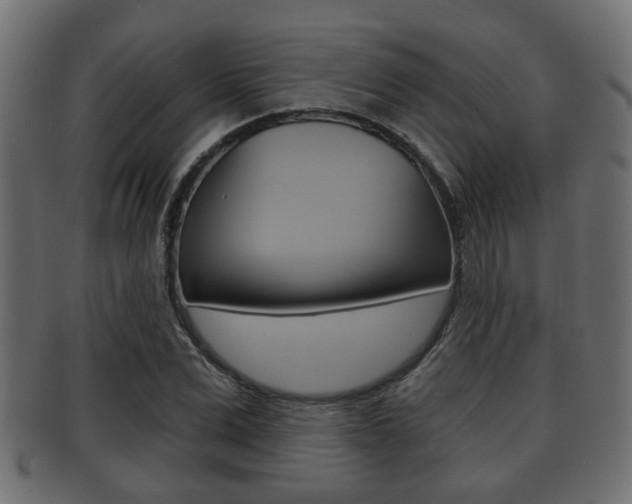 X0000091950975200709061036