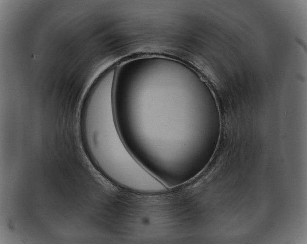 X0000091950976200709061036