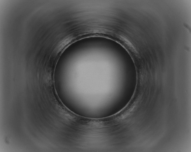 X0000091950977200709061036