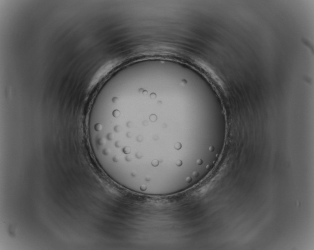 X0000091950978200709061036