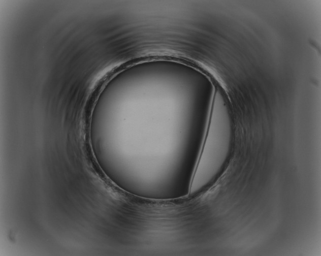 X0000091950979200709061036