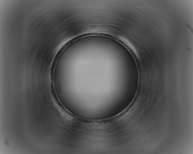 X0000091950980200709061036