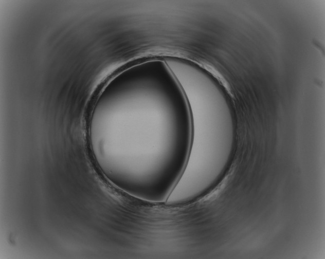 X0000091950981200709061036