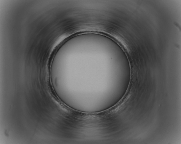 X0000091950982200709061036