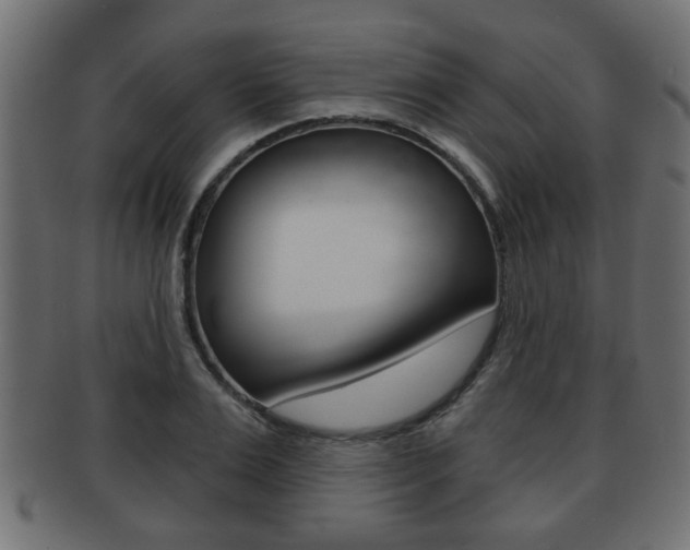 X0000091950983200709061036