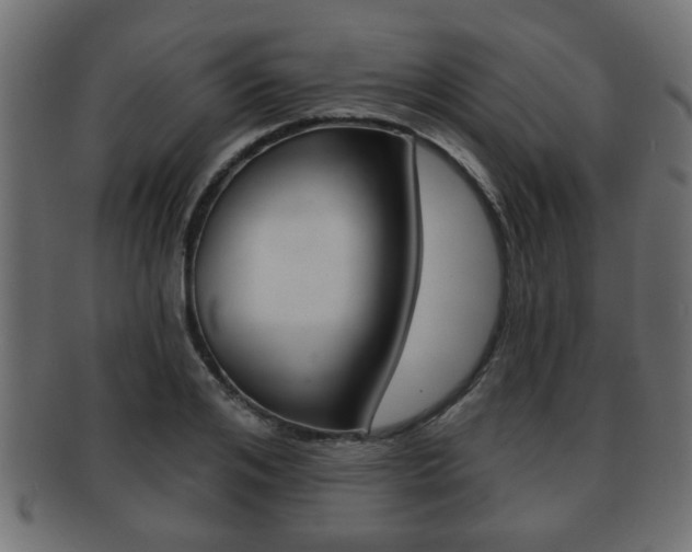 X0000091950984200709061036