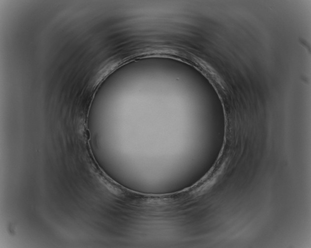 X0000091950985200709061036