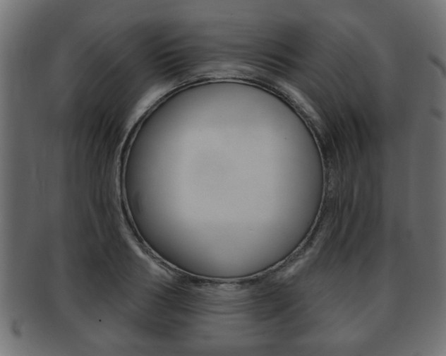 X0000091950986200709061036