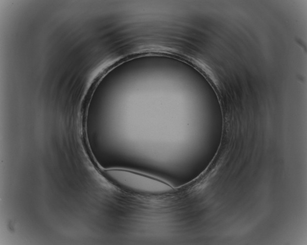 X0000091950987200709061036