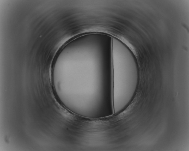 X0000091950988200709061036