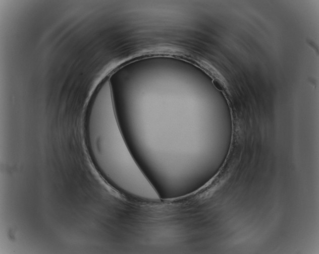 X0000091950989200709061036