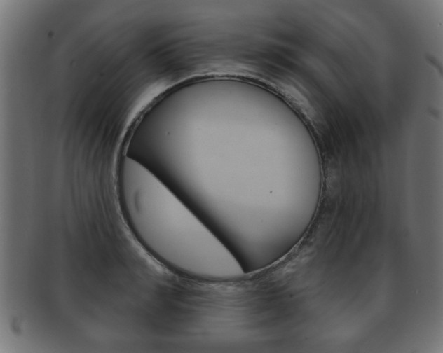 X0000091950990200709061036