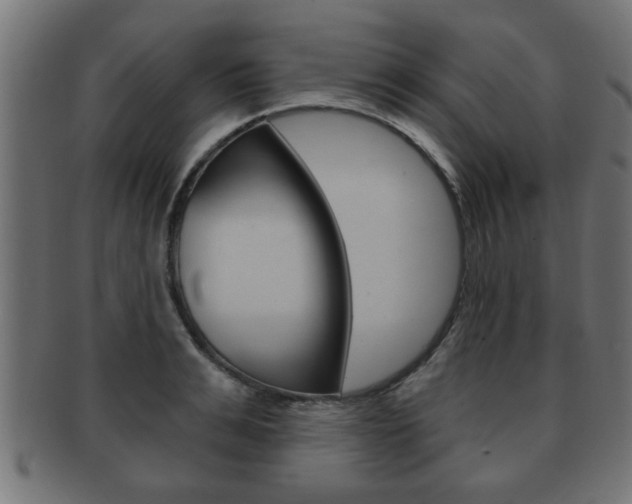 X0000091950991200709061036