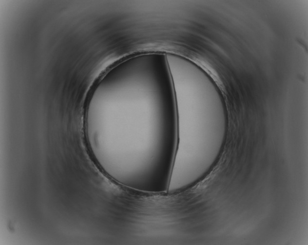 X0000091950992200709061036