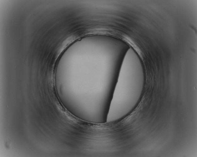 X0000091950994200709061036