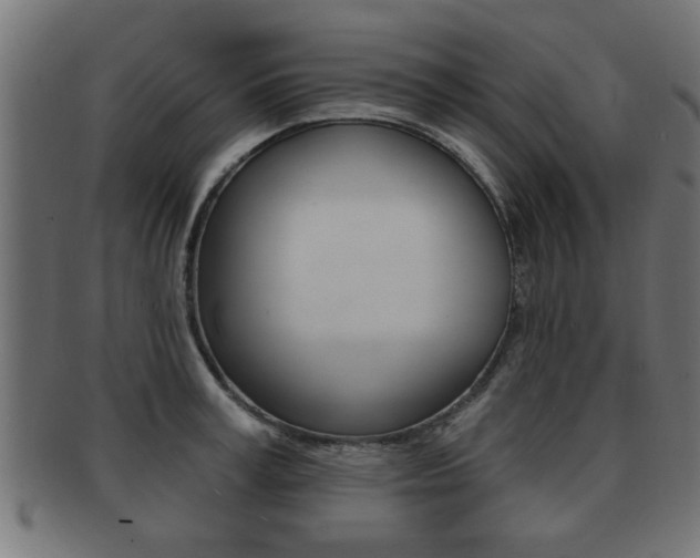 X0000091950995200709061036
