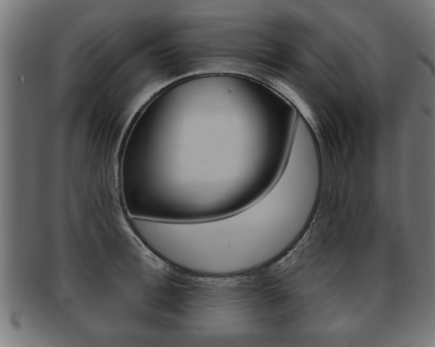 X0000091950996200709061036