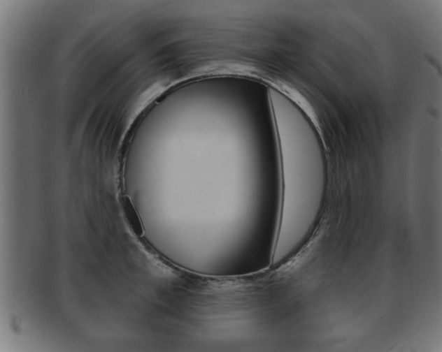 X0000091950997200709061036