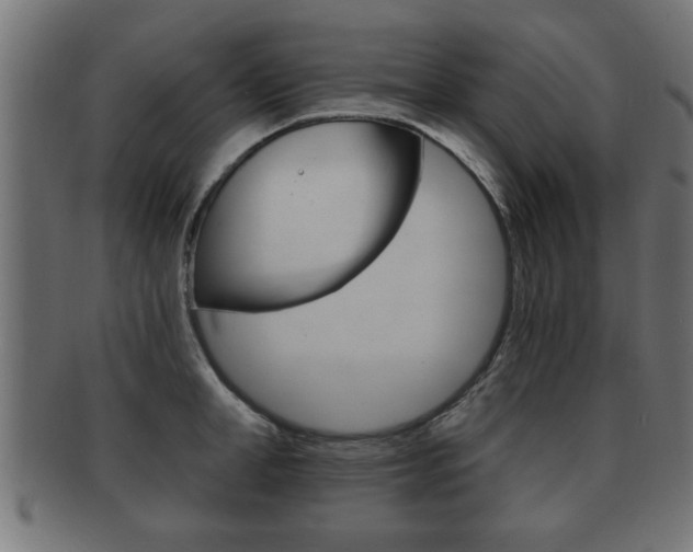 X0000091950998200709061036