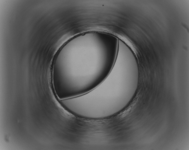 X0000091950999200709061036