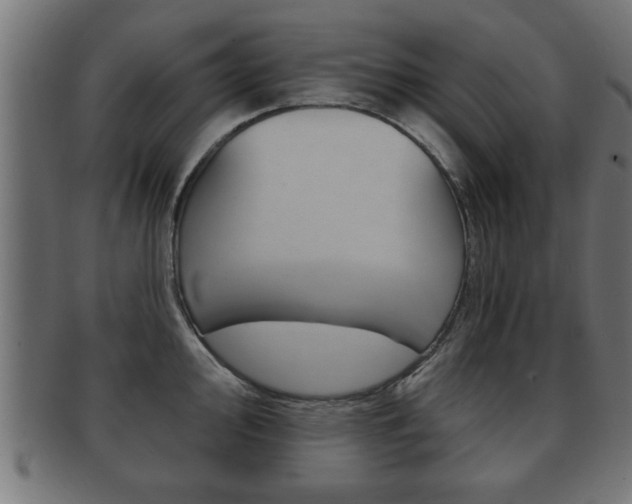 X0000091951000200709061036