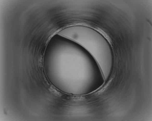 X0000091951001200709061036