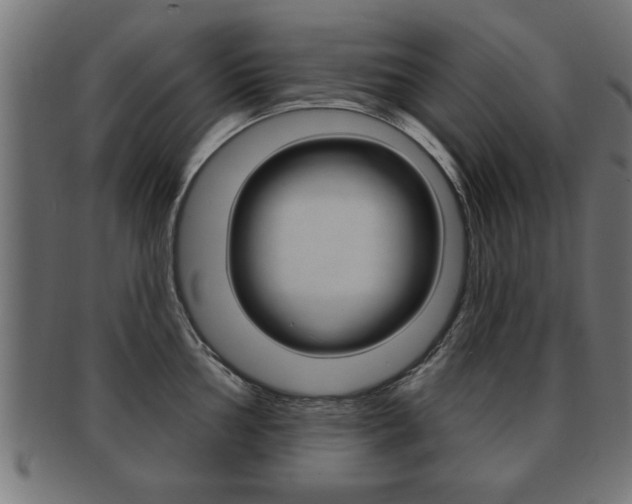 X0000091951002200709061036