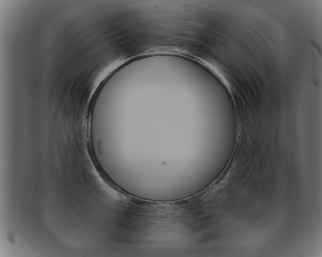 X0000091951003200709061036