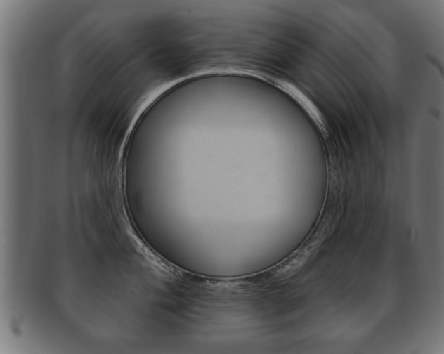 X0000091951004200709061036