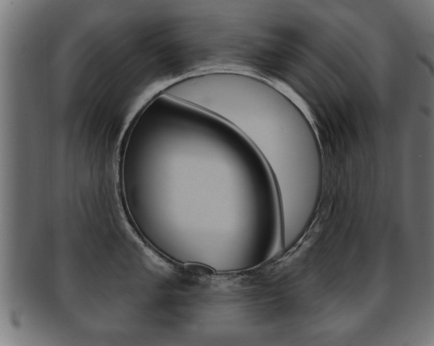 X0000091951005200709061036