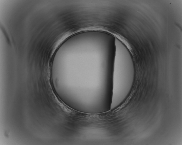 X0000091951006200709061036