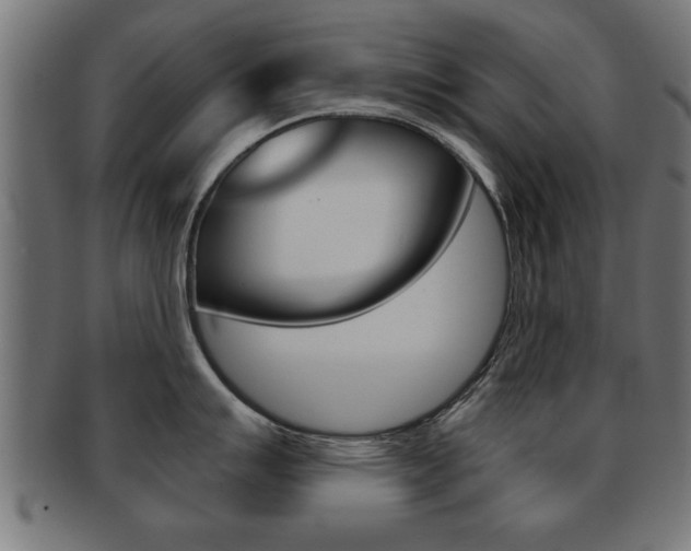 X0000091951007200709061036