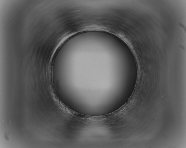 X0000091951008200709061036
