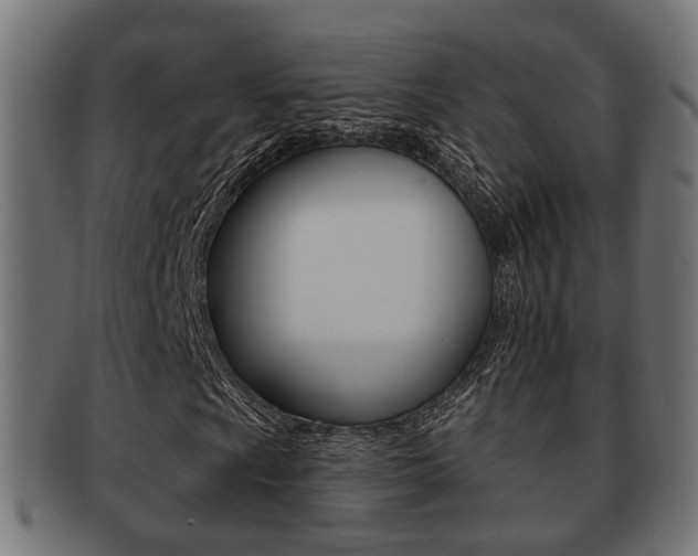 X0000091951009200709061035