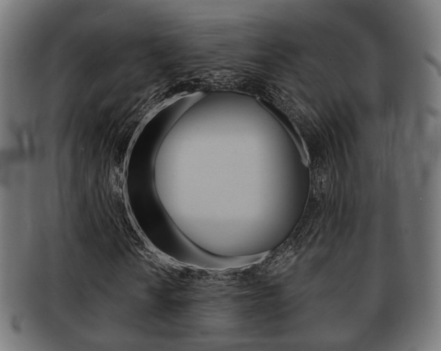X0000091951010200709061035