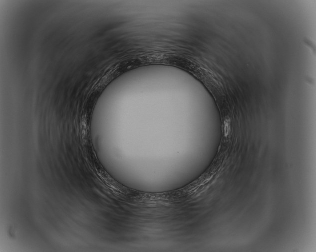 X0000091951011200709061035