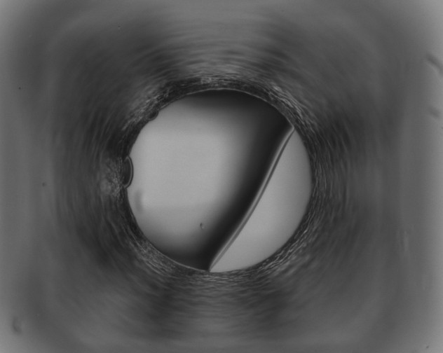 X0000091951012200709061035