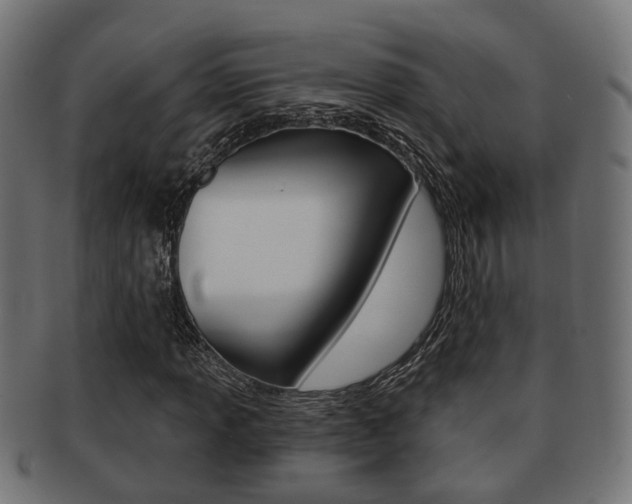 X0000091951013200709061035