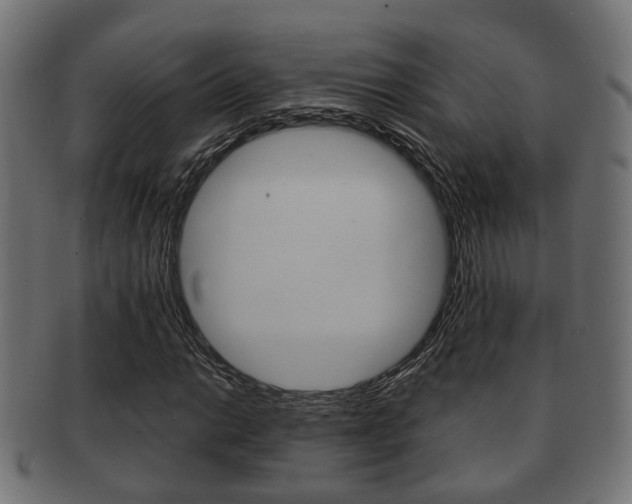 X0000091951014200709061035