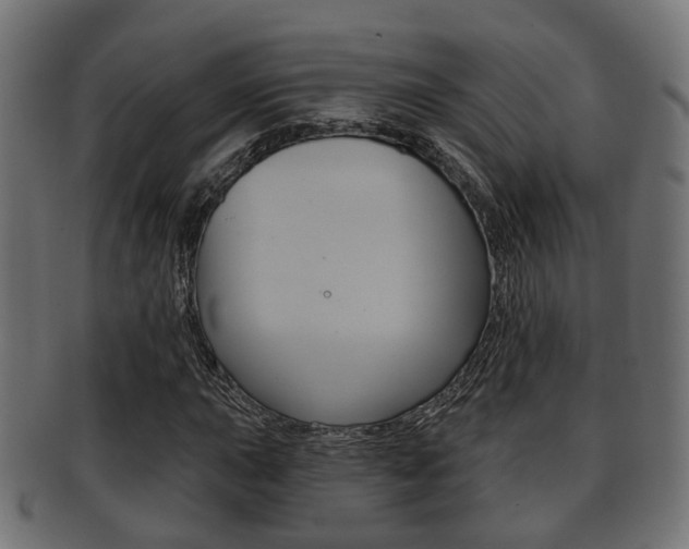 X0000091951015200709061035