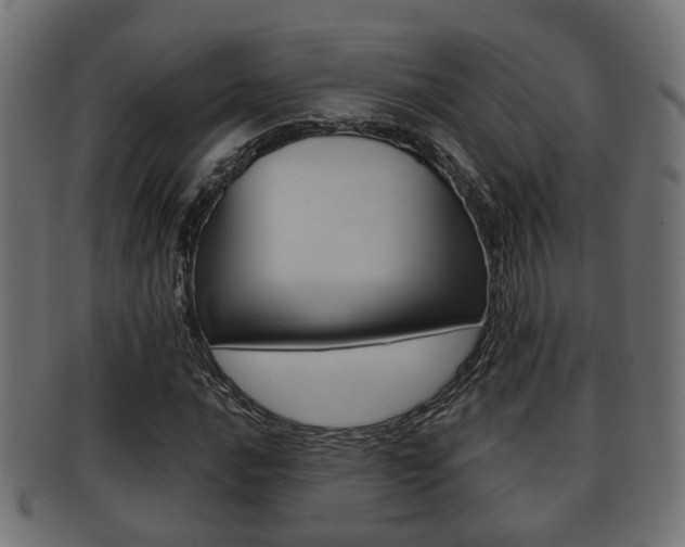 X0000091951016200709061035