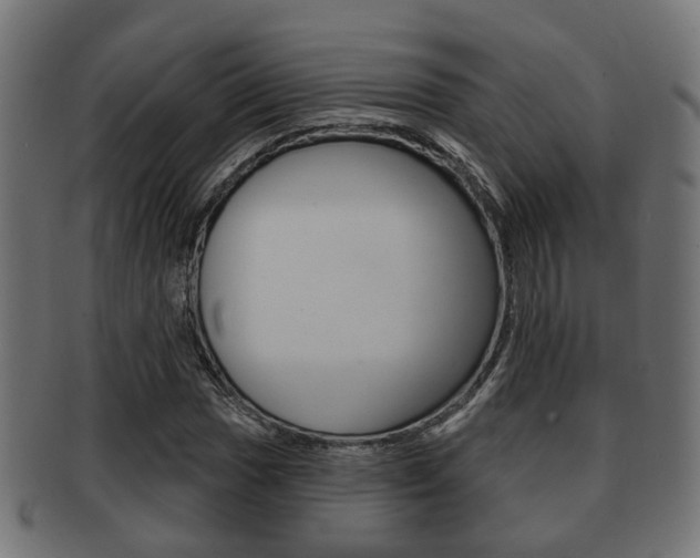 X0000091951017200709061035